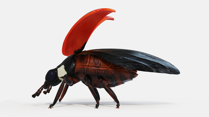 3d illustration of a ladybug