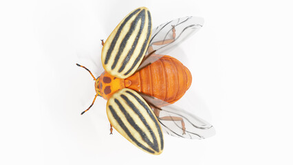 3d illustration of a potato beetle