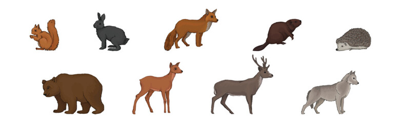 Forest Animal and Habitant with Bunny, Squirrel, Fox, Beaver, Deer and Hedgehog Vector Set