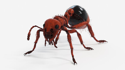 3d illustration of a red ant