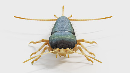 3d illustration of a silverfish