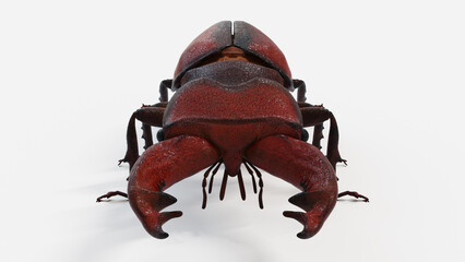 3d illustration of a stag beetle