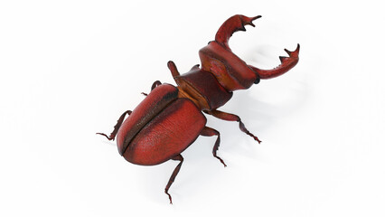 3d illustration of a stag beetle