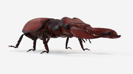 3d illustration of a stag beetle