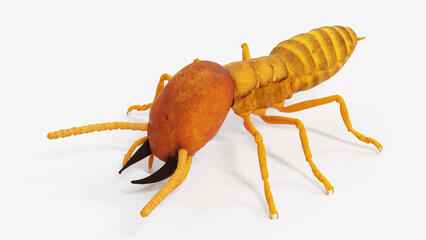 3d illustration of termite