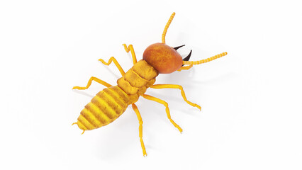 3d illustration of termite