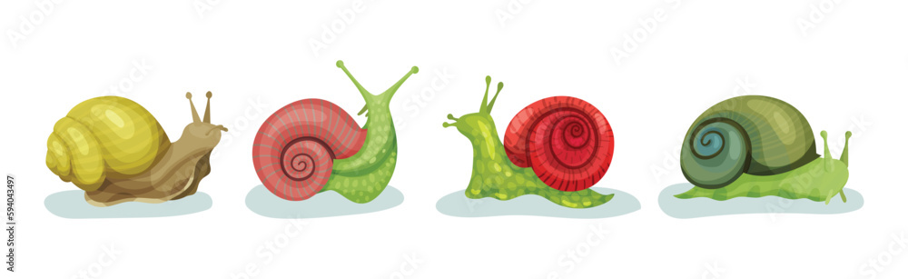 Poster crawling snails as shelled gastropod with coiled shell vector set