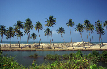 INDIA GOA LANDSCAPE BEACH