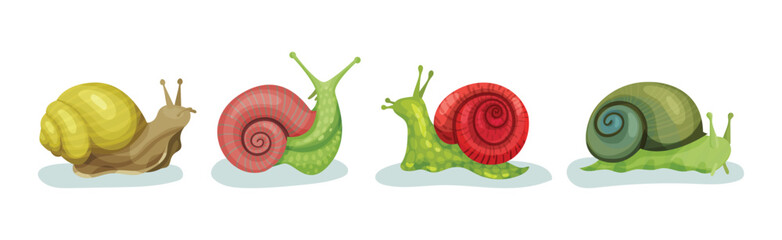 Crawling Snails as Shelled Gastropod with Coiled Shell Vector Set