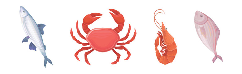 Seafood with Fish, Shrimp and Crab Vector Set