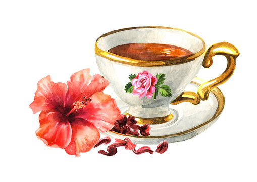 Fresh and dried flowers hibiscus petals, karkade, cup of tea and Tea Brewing sieve,  Hand drawn watercolor illustration, isolated on white background