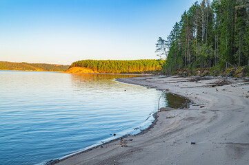 Panoramic spring landscape of a lake with a forest, stumps on the shore, Russia, Ural - 594045829