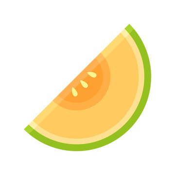 Melon logo vector. melon on white background. Half melon.