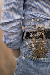 Camomiles in girl's back pocket of jeans