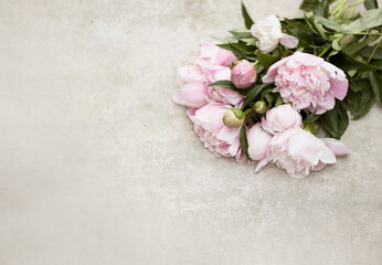 fresh peonies on a concrete background, a bouquet of peonies for a postcard, flower background for congratulations, delicate pink spring flowers, rustic style