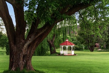 Weeping willow and gazebo with red roof on a green lawn in Sedona, AZ, USA