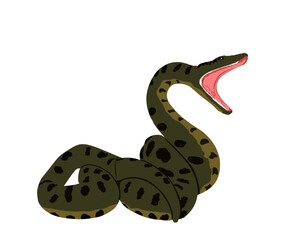 Curl snake attack prey vector illustration isolated on white background. Anaconda snake defense pose treat for enemy. Python predator with muscular body reptile animal. Dangerous boa. Open jaws.