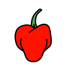 chilli red pepper vegetable