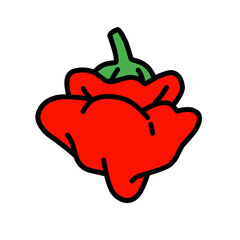 chilli red pepper vegetable