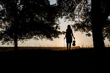 Silhouette of a beautiful woman in a dress playing the violin in the park at sunset