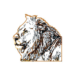 Color sketch of a lion with  transparent background