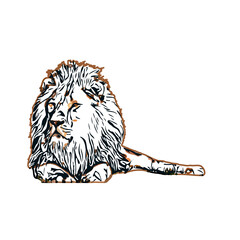 Color sketch of a lion with  transparent background