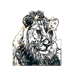 Color sketch of a lion with transparent background