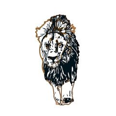 Color sketch of a lion with transparent background