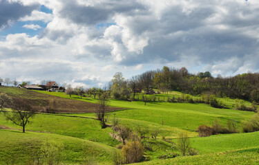landscape with a tree and sky
