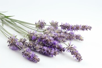 lavender flowers isolated on white. Generative AI