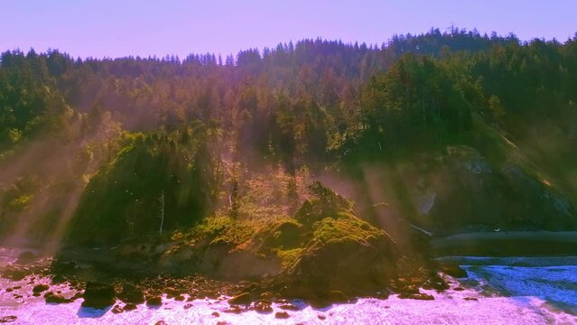 Discover Oregon's coast as this aerial footage captures Submarine Rock at Ecola Park, with sun rays streaming down and seagulls flying by, creating a serene and captivating atmosphere.
