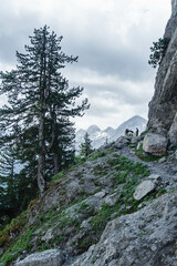 Albanian Alps view. Accursed Mountains landscape viewed from Valbona 