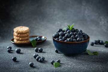 Bowl of blueberries and set of oat cookies in dark blue plates on dark blue background