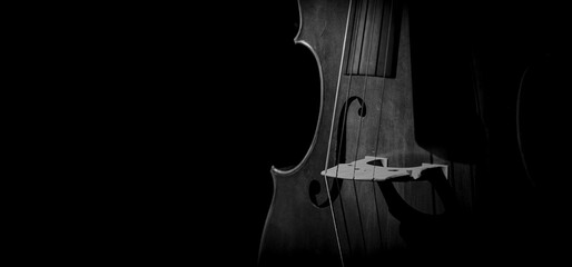 violin on black background © oz