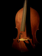 contrabass  music instrument on black