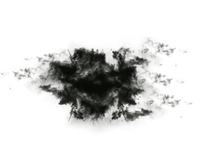 Black, ink blot and Rorschach test isolated on png or transparent background, psychology and smoke...