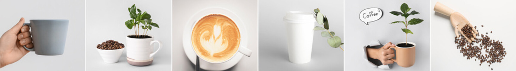 Collage of cups with coffee, roasted beans and plants on light background