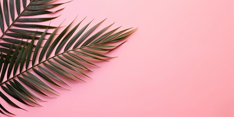 Tropical palm leaves on pink background. Empty space flat lay. Creative minimal summer concept. Generative AI