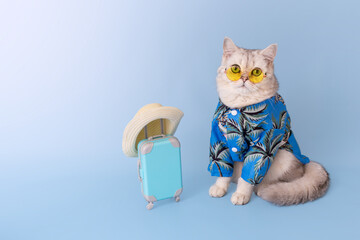 White cat in a blue shirt and yellow glasses, sitting next to a small blue suitcase