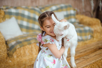 girl wearing a summer cotton dress with braided hair and pink ribbons is hugging a white baby goat inside a rural barn with hay. She is laughing and appears very happy