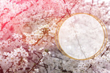 blossom cherry texture with white round template