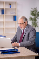 Old male employee working in the office