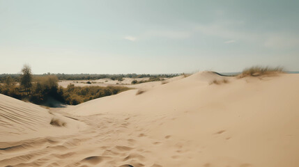 Fototapeta na wymiar dunes in the sand