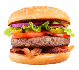 delicious fast food, burger, hamburger, cheeseburger, isolated on white background, full depth of field