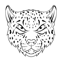 Snow leopard. Vector illustration of a sketch  irbis wild cats. Bars
