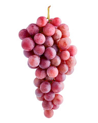 Red grape, isolated on white background, full depth of field