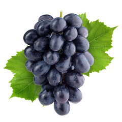 purple grape, isolated on white background, full depth of field
