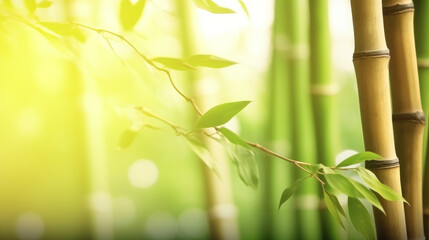 Fototapeta na wymiar Natural background with bamboo. Illustration AI Generative.