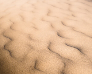 The wind pattern on the sand