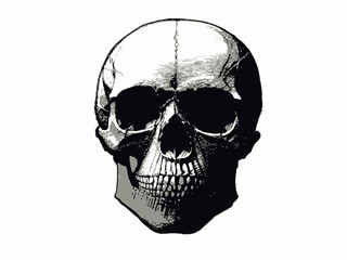 skull and crossbones